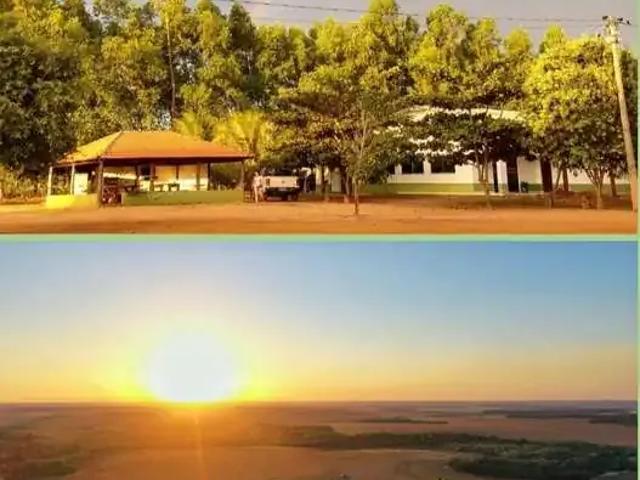 Fazenda venda em Região Geográfica Imediata de Araguaína, Araguaína