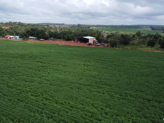 Fazenda venda em Araguaína, Região Geográfica Intermediária de Araguaína