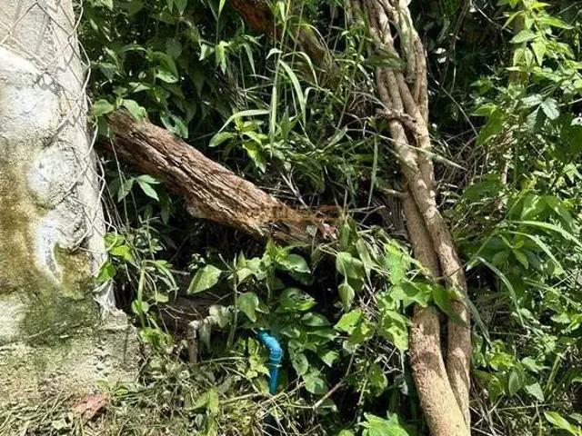 Fazenda venda em Região Geográfica Imediata de Uberlândia, Araguari