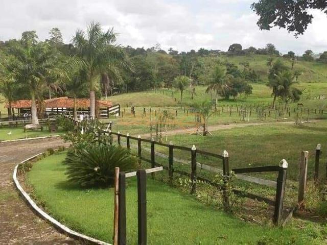 Fazenda venda em Araguari, Região Geográfica Intermediária de Uberlândia