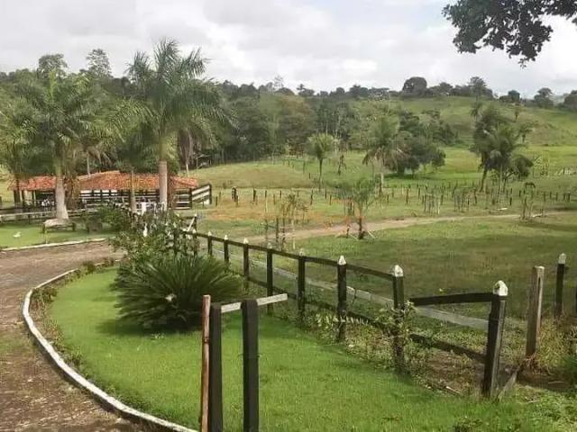 Fazenda venda em Região Geográfica Imediata de Uberlândia, Araguari