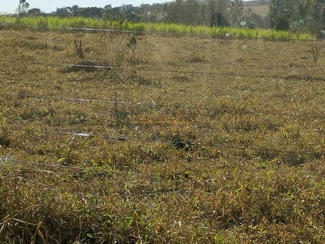 Fazenda venda em Região Geográfica Imediata de Uberlândia, Araguari