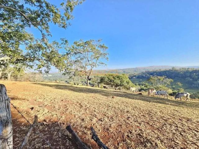 Fazenda venda em Região Geográfica Imediata de Uberlândia, Araguari