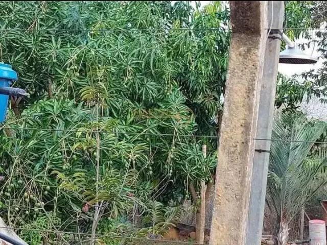 Fazenda venda em Região Geográfica Imediata de Uberlândia, Araguari