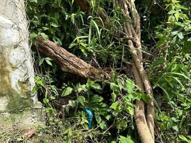 Fazenda venda em Jóquei Clube, Araguari