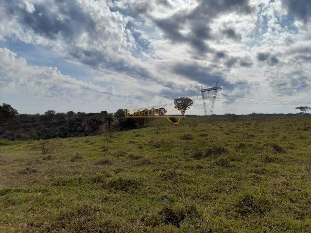 Fazenda venda em Araguari, Região Geográfica Intermediária de Uberlândia