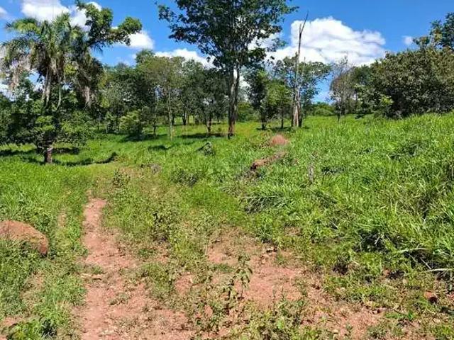 Fazenda venda em Região Geográfica Imediata de Uberlândia, Araguari