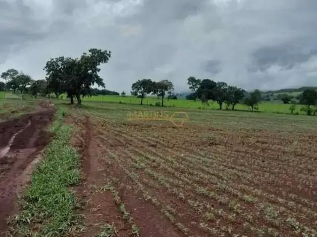 Fazenda venda em Região Geográfica Imediata de Uberlândia, Araguari