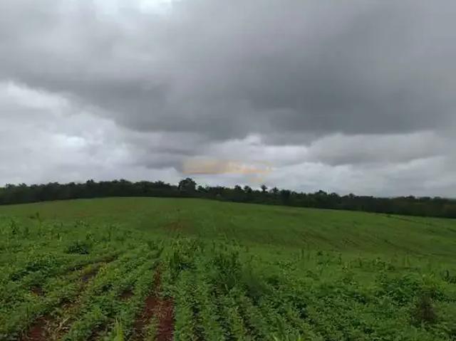 Fazenda venda em Região Geográfica Imediata de Uberlândia, Araguari