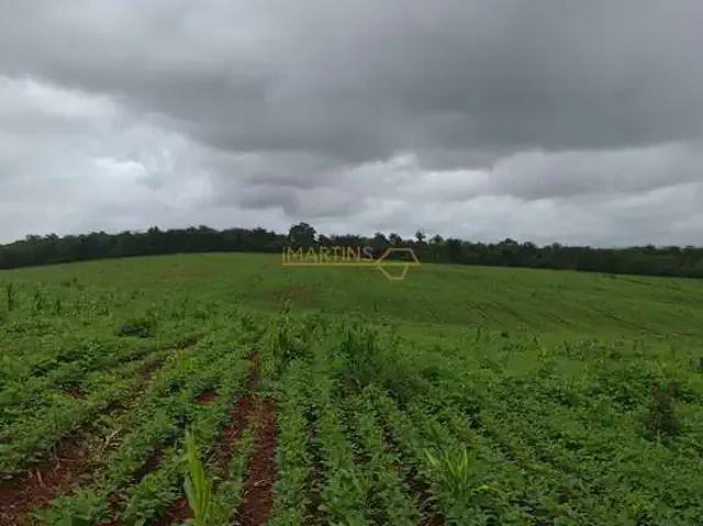 Fazenda venda em Região Geográfica Imediata de Uberlândia, Araguari