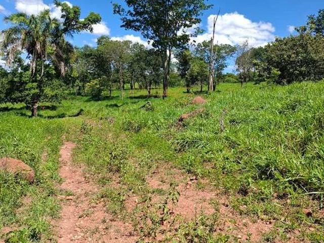 Fazenda venda em Jóquei Clube, Araguari