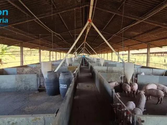 Fazenda venda em Região Geográfica Imediata de Uberlândia, Araguari