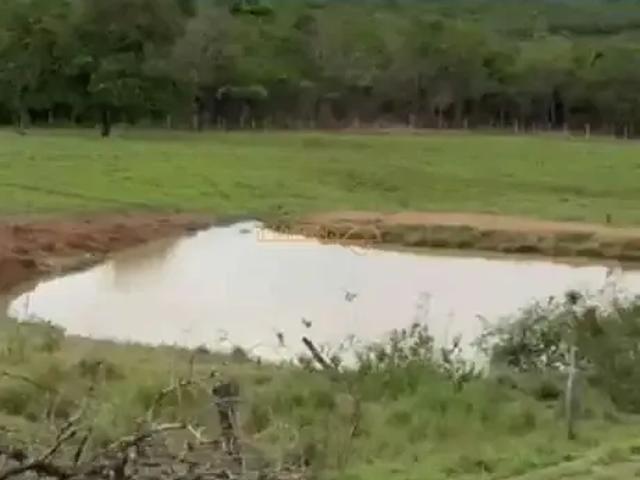 Fazenda venda em Região Geográfica Imediata de Uberlândia, Araguari