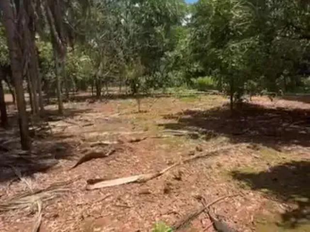 Fazenda venda em Região Geográfica Imediata de Uberlândia, Araguari