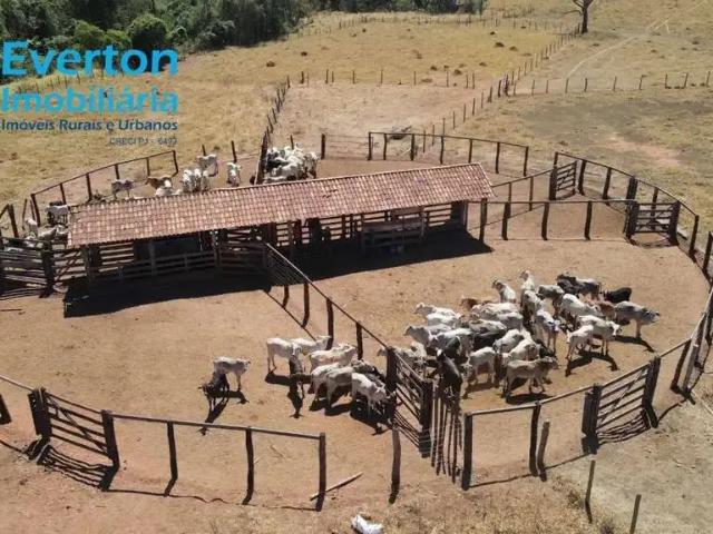 Fazenda venda em Araguari, Região Geográfica Intermediária de Uberlândia