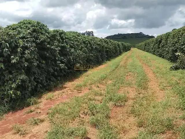 Fazenda venda em Região Geográfica Imediata de Uberlândia, Araguari