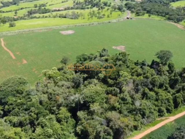 Fazenda venda em Centro, Araguari