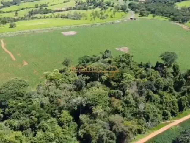 Fazenda venda em Região Geográfica Imediata de Uberlândia, Araguari