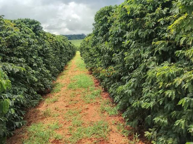 Fazenda venda em Centro, Araguari