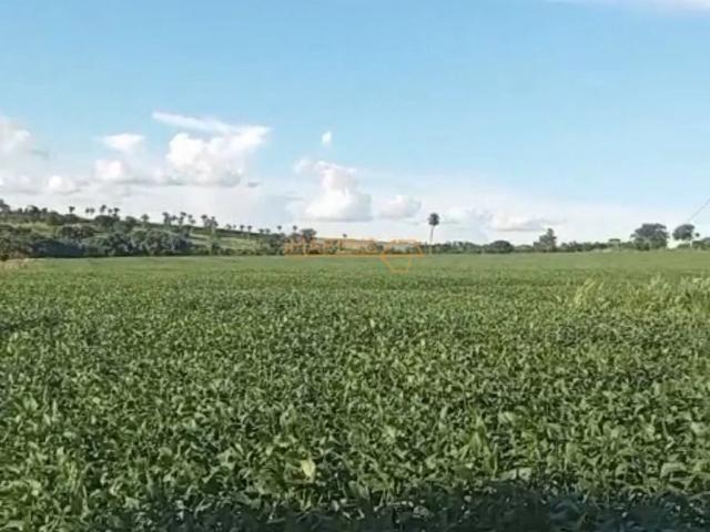 Fazenda venda em Centro, Araguari