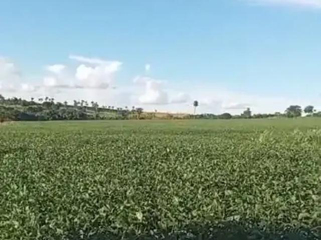 Fazenda venda em Região Geográfica Imediata de Uberlândia, Araguari
