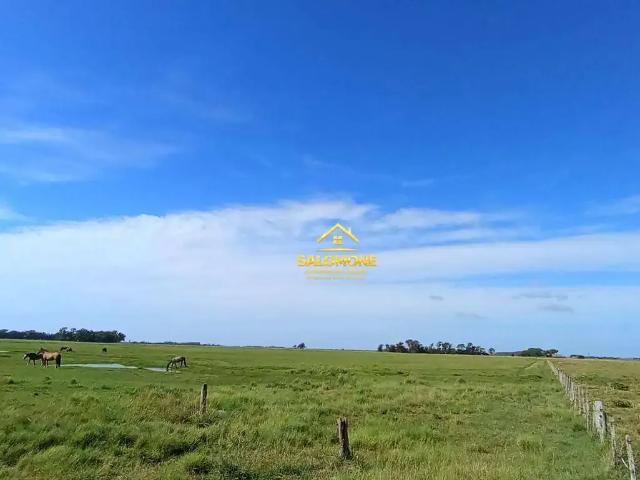 Fazenda venda em Região Geográfica Imediata de Camaquã, Arambaré