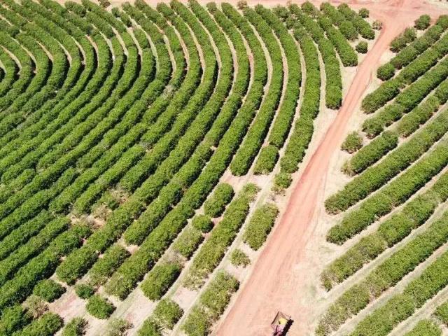 Fazenda venda em Região Imediata de Avaré, Arandu