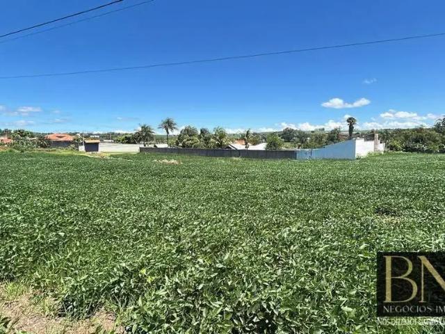 Fazenda venda em Região Geográfica Imediata de Londrina, Arapongas
