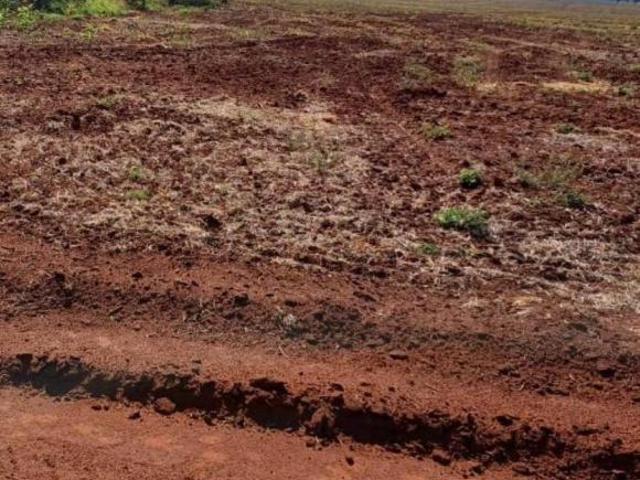 Sítio e chácara venda em Região Geográfica Imediata de Uberlândia, Araporã