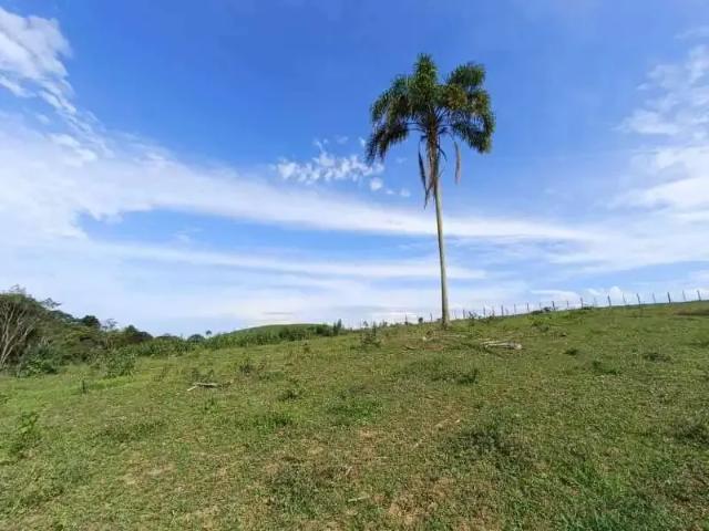 Fazenda venda em Região Geográfica Imediata de Joinville, Araquari