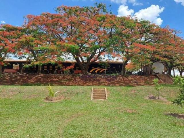 Sítio e chácara venda em Vila Xavier, Araraquara