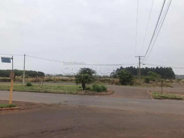 Fazenda venda em Região Imediata de Araraquara, Araraquara