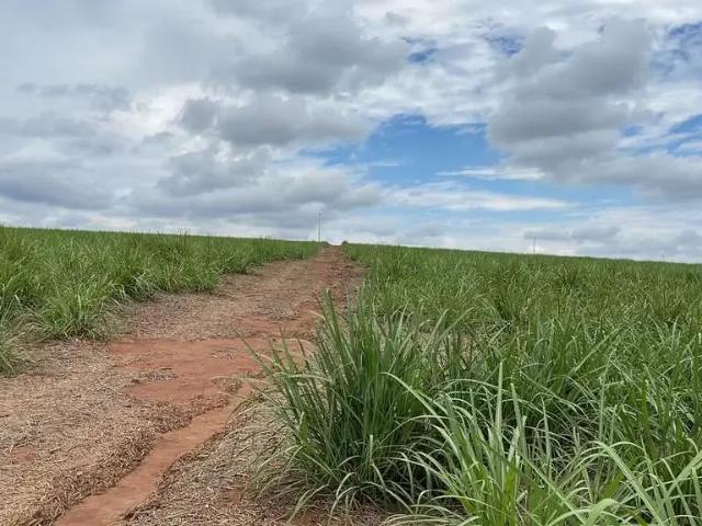 Fazenda venda em Região Imediata de Araraquara, Araraquara