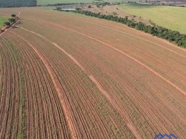 Fazenda venda em Região Imediata de Araraquara, Araraquara