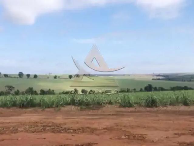 Fazenda venda em Região Imediata de Araraquara, Araraquara