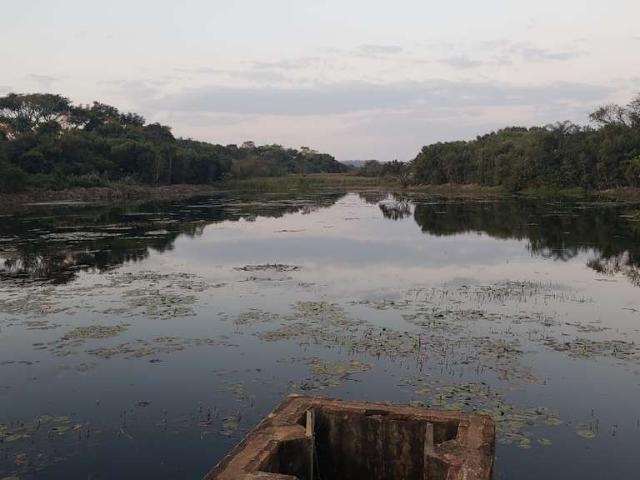 Fazenda venda em Região Imediata de Araraquara, Araraquara