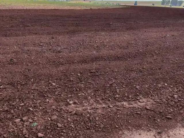 Fazenda venda em Região Imediata de Araraquara, Araraquara