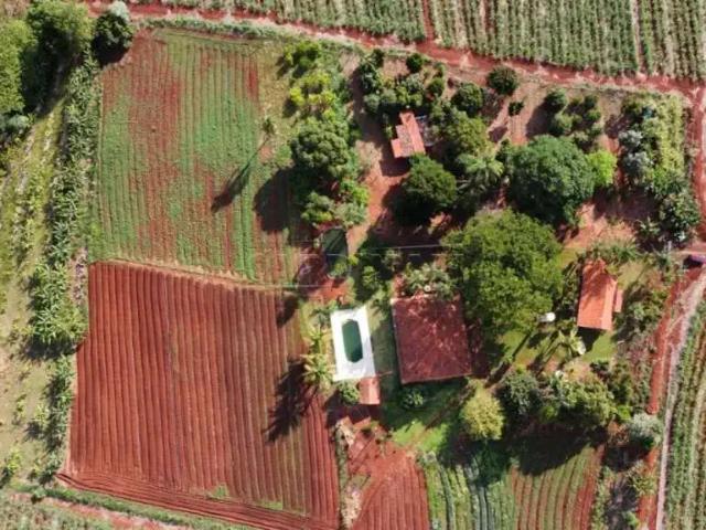 Fazenda venda em Região Imediata de Araraquara, Araraquara