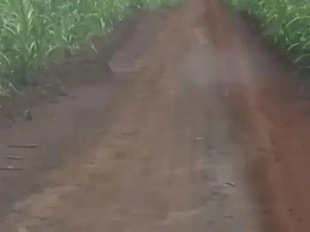 Fazenda venda em Região Imediata de Araraquara, Araraquara