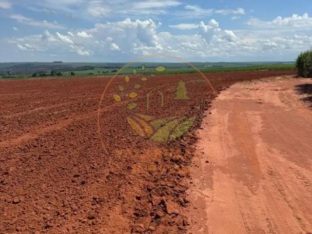 Fazenda venda em Região Imediata de Araraquara, Araraquara