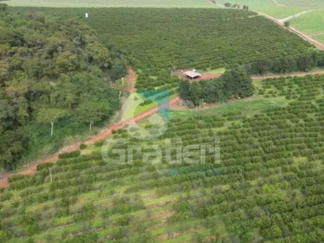 Fazenda venda em Região Imediata de Araraquara, Araraquara