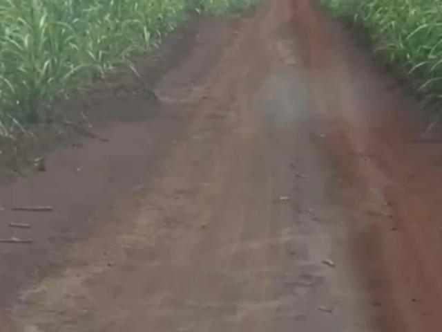 Fazenda venda em Araraquara