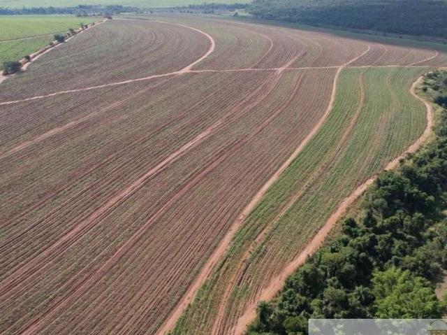Fazenda venda em Região Imediata de Araraquara, Araraquara