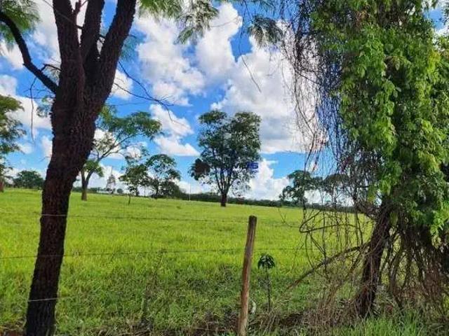 Fazenda venda em Região Imediata de Araraquara, Araraquara