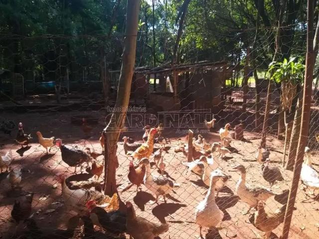 Fazenda venda em Região Imediata de Araraquara, Araraquara