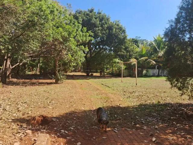 Fazenda venda em Região Imediata de Araraquara, Araraquara
