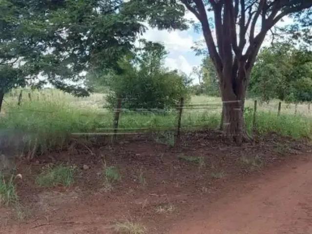 Fazenda venda em Região Imediata de Araraquara, Araraquara