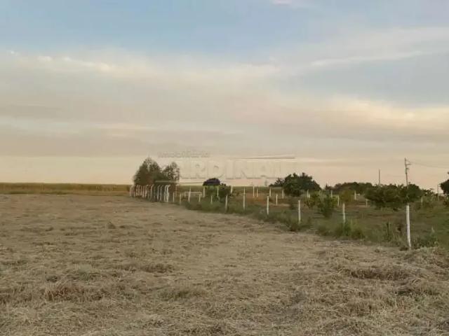 Fazenda venda em Região Imediata de Araraquara, Araraquara