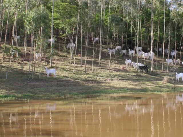 Fazenda venda em Região Imediata de Araras, Região Metropolitana de Piracicaba
