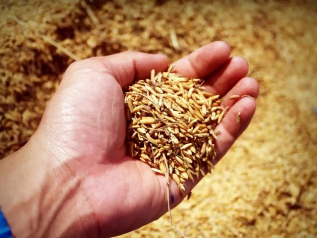 Fazenda venda em Região Imediata de Araras, Região Metropolitana de Piracicaba